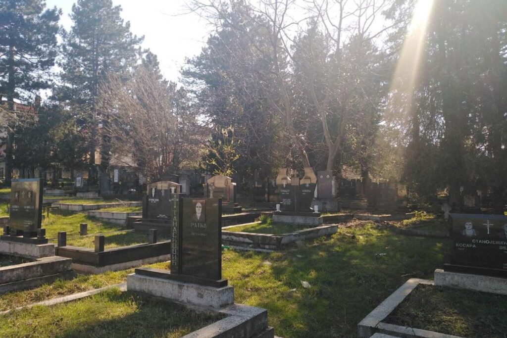 Јања Гаћеша: Писмо са Косова или где су Срби за Задушнице