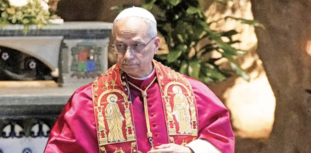 Владимир Димитријевић: Поново о сусрету папе и Патријарха