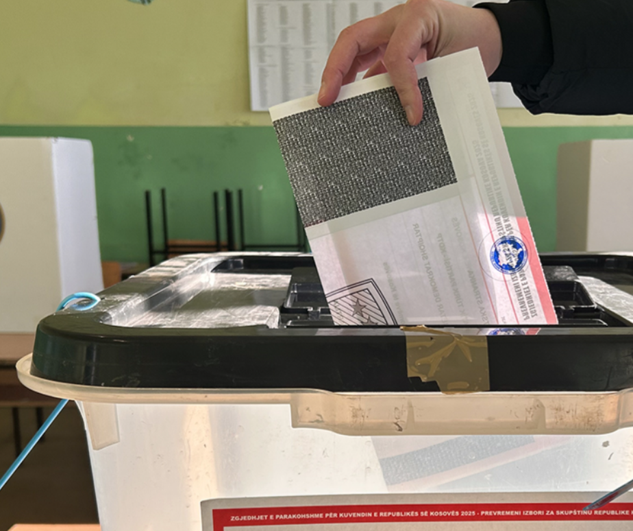 Изборне материјале штампа фирма из Словеније